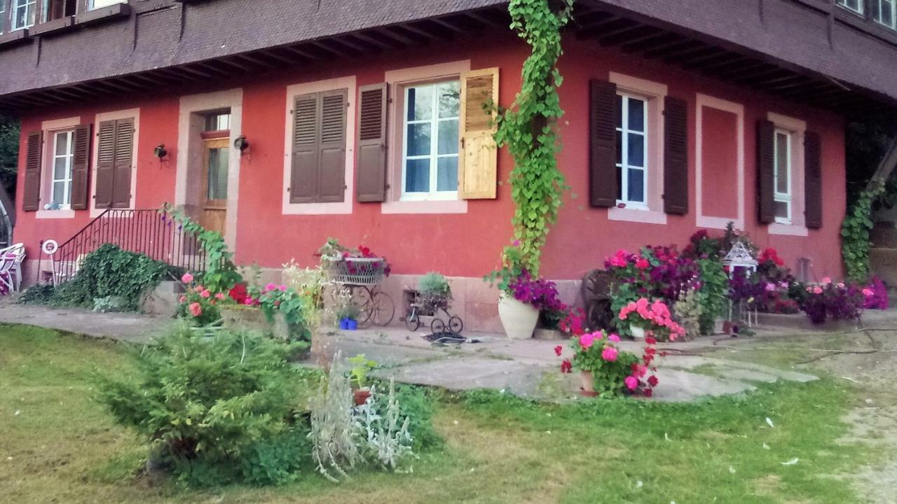 Gîte Cadichon Munster  Exterior foto