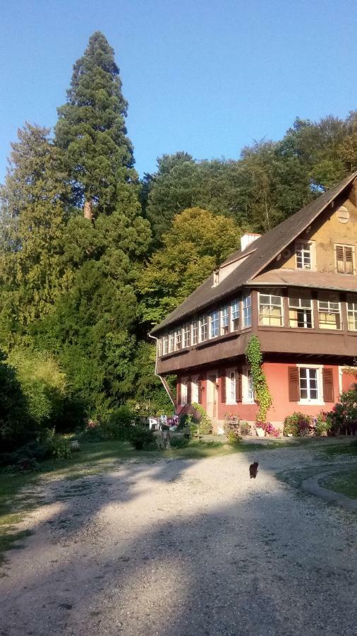 Gîte Cadichon Munster  Exterior foto